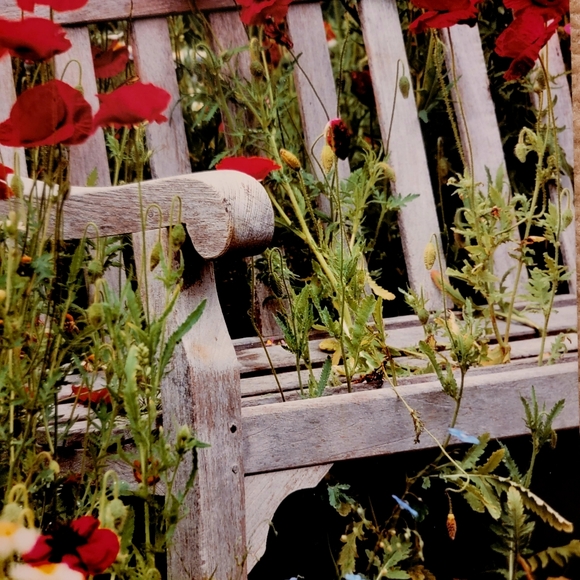 COLDWATER CREEK ♡  White Wooden Bench Red Floral Poppy Unframed Original Print - Picture 9 of 17